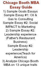 Examples Of Thesis Essays Essay Tips Essay English Example also Examples Of A Thesis Statement In An Essay How To Write An Mba Application Resume Essay On Modern Science