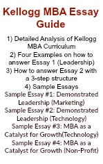 Essay On Photosynthesis Essay Tips Small Essays In English also Persuasive Essay Thesis Examples Before Writing Mba Application Essays Find Your Leadership Style Essay Examples For High School